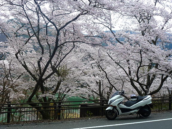 主観だらけのライバル比